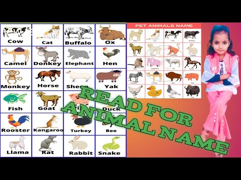 All animal name/सभी जानबरों के नाम इंगलिस में#education#kidsgyan#roligyankidsno1#learning#animalls🧸