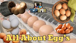 🐓 TOPSPUR.TV – Episode 2: All About Eggs 🥚