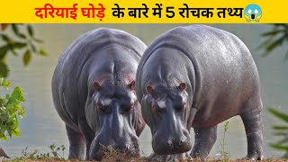 दरियाई घोड़े  के बारे में 5 रोचक तथ्य😱 | #shorts #newfactsvideohindi #ytshorts