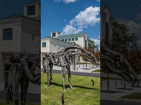 The Columbus Museum, Georgia Wins USA Today’s Top New Museum Award for 2025