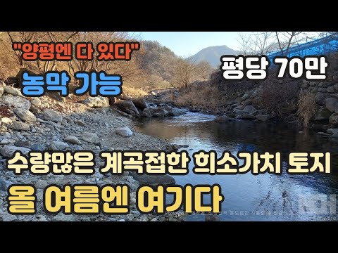 농막,주택 OK~ 수량 풍부한 나만의 계곡을 가질수 있는 기회~ 220평/평당70만~ [양평토지]양평토지급매물,양평땅,양평땅급매물,전원주택,양평전원주택지,양평엔공인중개사