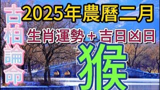 【古柏論命每月運勢+吉日凶日】2025年農曆2月(陽曆2025年2/28 ~ 3/29)生肖運勢分享 -  猴