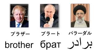 言語の起源：日本語は孤独ではない