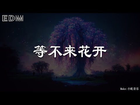 等不来花开🎧抖音热门歌曲 🎧 EDM 中文歌曲 华语 Music🎧抖音热门歌曲 🎧 EDM 中文歌曲 华语 Music