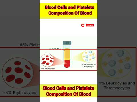 Blood Cells and Platelets || Composition of Blood || Circulatory System | #Biology #Science #shorts