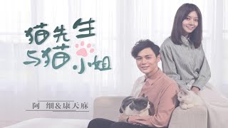 最理想的状态就是猫式恋爱？| 李俊毅&阿细《猫先生与猫小姐》官方MV