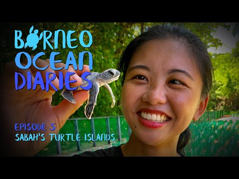 Sabah’s Turtle Islands - the best in SE Asia [4K] | Borneo Ocean Diaries (S01E05) | SZtv