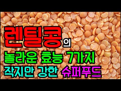 렌틸콩의 놀라운 효능 7가지 & 주의사항  작지만 강한 슈퍼푸드