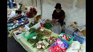 201304日本 飛驒高山 陣屋朝市 早市 菜市場 高山陣屋 賞櫻花 賣菜 舊式官府