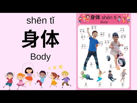 Learn Parts of Your Body in Mandarin Chinese for Toddlers, Kids & Beginners | 身体 | Chinese for Kids