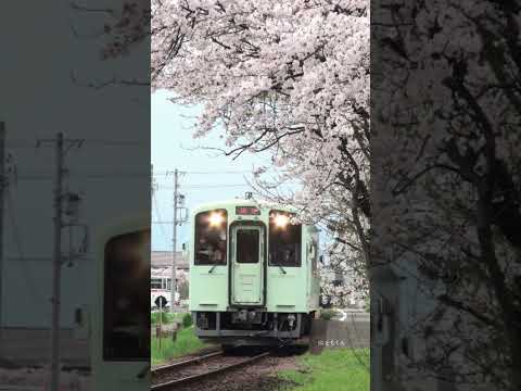 樽見鉄道　美江寺駅　発車 #鉄道