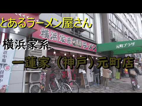 とあるラーメン屋さん⑦　横浜家系一蓮家元町店