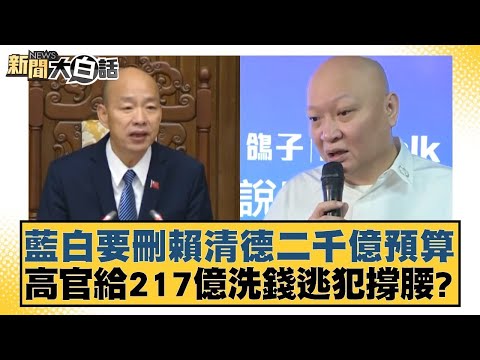 藍白要刪賴清德二千億預算 高官給217億洗錢逃犯撐腰？【新聞大白話】20250114-8｜王鴻薇 謝寒冰 何景榮