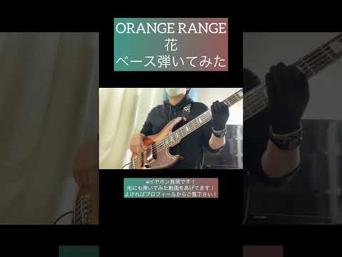 花 / ORANGE RANGE 【ベース弾いてみた】 #shorts #ベース #ベース弾いてみた #bass #basscover #orangerange