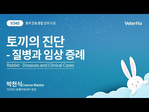 [베터플릭스][토끼 종합 진단 과정] 토끼의 질병과 임상 증례(Rabbit-Diseases and Clinical Cases)