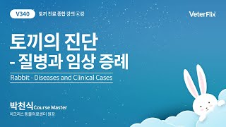 [베터플릭스][토끼 종합 진단 과정] 토끼의 질병과 임상 증례(Rabbit-Diseases and Clinical Cases)