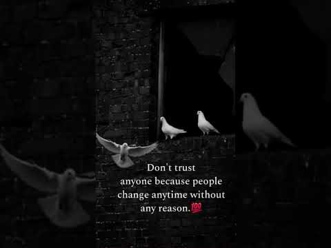 Don't trust.#trust #share #ytube #shorts #youtubeshort #shortvideos #change #viralshorts #pigeon