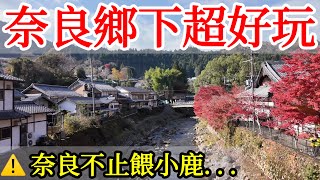 【日本旅遊】奈良鄉下超好玩，超多秘境人又少！2024年日本自由行・關西奈良旅遊攻略・賞楓・飛鳥・吉野山・奈良公園小鹿・近鐵觀光電車・近鐵電車周遊券・日本美食・奈良深度遊・日本旅行奈良景點・日本旅遊攻略