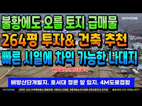 NO.342아산토지매매 264평 나대지 50만평 산단개발지. 호서대정문 앞 입지 좋고 지속적인 지가상승지 배방읍 위치 평당150만원 급매 추가적인 네고 가능 전화주세요