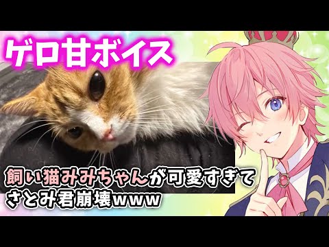 サトゴロウ!? 愛猫みみちゃんが可愛すぎて ムツゴロウさん化するさとみくんWWW【すとぷり】【さとみ/切り抜き】