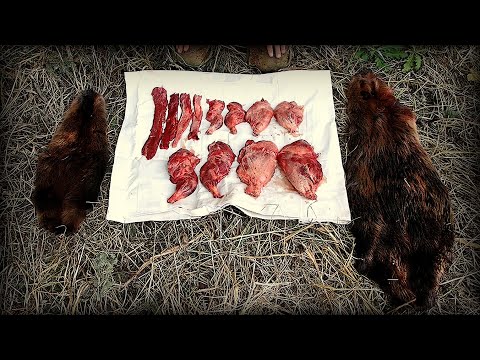 Life of a Woodsman - Processing Beavers for Fur and Food