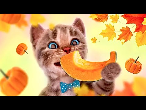 Little Kitten Preschool Adventure Educational Games -Play Fun Cute Kitten Pet Care Learning for kids