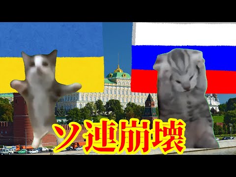 【猫ミーム】波乱万丈のウクライナ歴史 #猫ミーム #猫マニ #ウクライナ #ロシア