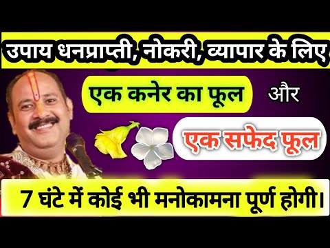 उपाय धन प्राप्ति, नोकरी, व्यापार के लिए।।अचूक उपाय।।Amavasya।Pradeep Ji Mishra।