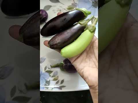 கத்தரிக்காய்க்கு எதுக்கு Risk🍆 Simple and tasty 😋