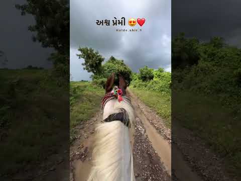 અશ્વ પ્રેમી #instagram #reels #like #youtube #viralvideo #subscribe