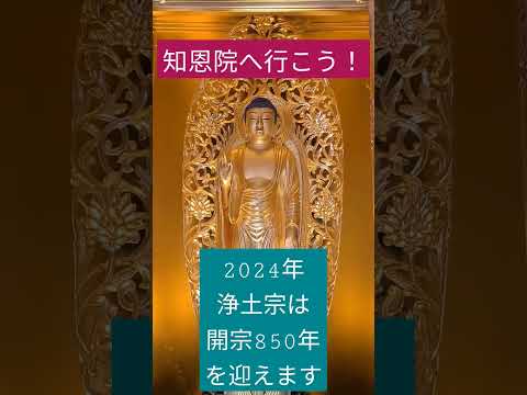 【ハワイ生活】2024年浄土宗は開宗850年を迎えます　＃知恩院へ行こう！#shorts