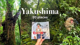 Yakushima vlog/Japan travel/ghibli//hike to kokemusu forest/cedar/sushi/onsen/cafe/shrine/waterfall