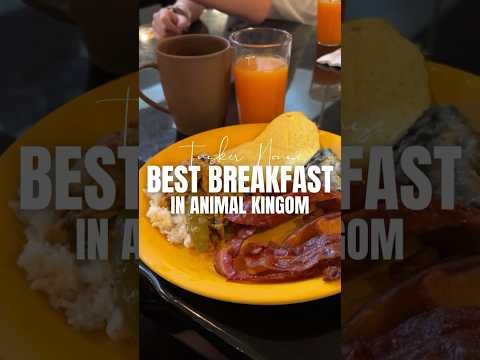 THIS IS WILD! Best Breakfast Animal Kingdom | Disney World #AnimalKingdom #TuskerHouse #disneydining