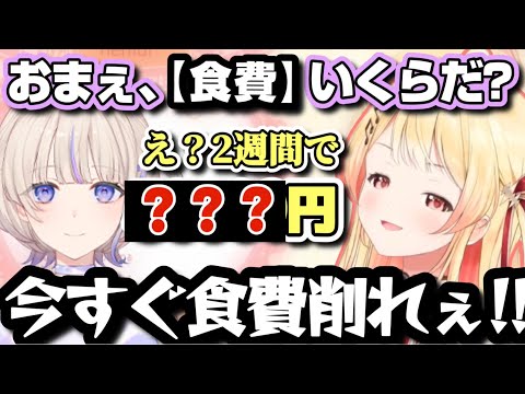 お金がない奏さん、うめうめ代の費用（食費）が凄まじいことが判明し、はじめからアドバイスを貰う【ホロライブ/切り抜き/音乃瀬奏/轟はじめ/#regloss /ゲリラ/雑談】