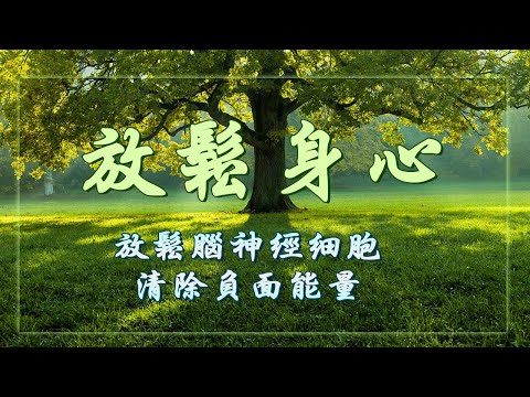 放鬆心靈的音樂 🎵 早上聽的好歌, 大自然清澈流水聲和清脆鳥叫聲，清除負面能量，放鬆腦神經細胞, 鋼琴曲 輕音樂