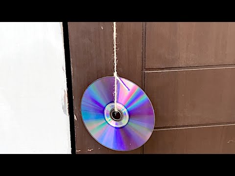 Hang CDs on Your Door to Solve THIS Common Problem!