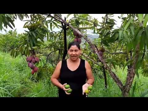 Vivenciales de impacto en proyectos de restauración-Tacuba