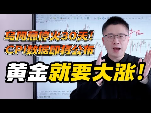 乌克兰同意停火30天！5星CPI数据将引爆市场，黄金即将大涨！