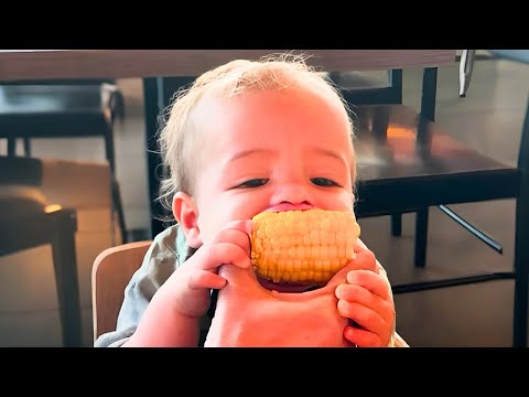 Hilarious Baby Eating Moments You Can’t Miss! 🤣🍓