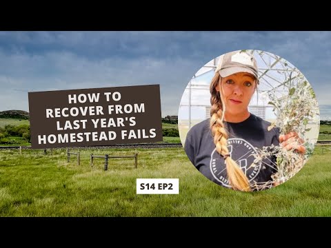 S14 E2: How to Recover from Last Year's Homestead Fails