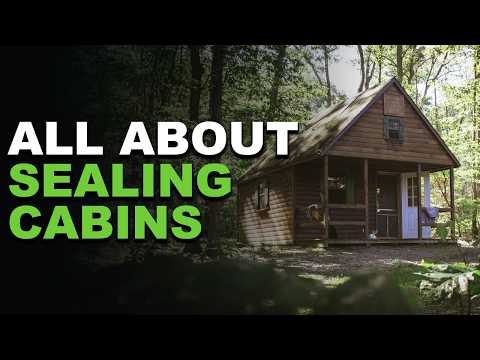 Sealing Log Cabins | How to properly water seal a log cabin