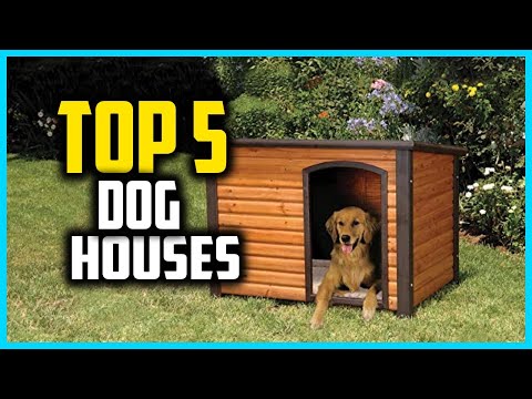 ✅Top 5 Best Dog Houses for Winter in 2025