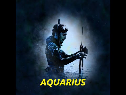 AQUARIUS MONTHLY HOROSCOPE JANUARY 2025-KEEP GOING DON'T PROCRASTINATE #fyp #aquarius #tarot #love