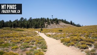 Hiking Mt Pinos: The Tallest Point in Ventura County