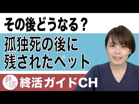 部屋に残された猫のその後とは？孤独死のあとに残されたペットをどう保護するか