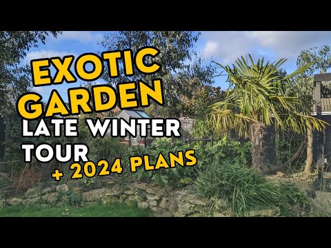 A late winter walk around my UK exotic garden, plus plans for 2024!