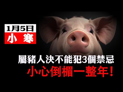 1月5日生肖豬絕對不能做的3件大凶之事！小心破財傷身，倒楣一整年！【佛語】#運勢 #風水 #佛教 #生肖 #佛語