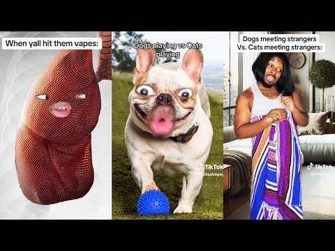 *1 HOUR* Dimpey6 Funny Shorts Videos | Dimpey6 Videos Compilation 2024