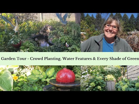 Garden Tour- 'Crowd Planting' NO MULCH-NO WEEDS!