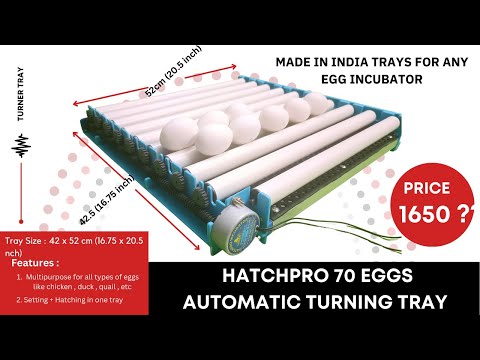 Hatchpro 70 eggs Automatic Egg Turning Tray | Automatic egg rolling | Egg incubator (English)